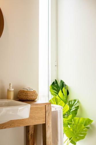 Apartamento Casa Vica