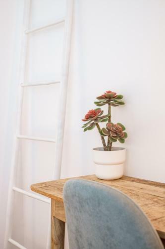 Apartamento Casa Vica