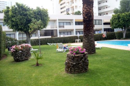 Apartamento T1 - Praia Da Rocha - Com Vistas de Mar E Terra�o