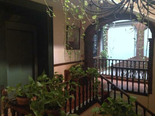 Hotel El Ma�o
