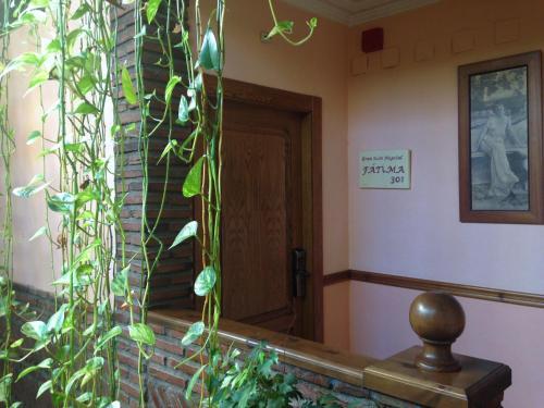 Hotel El Ma�o