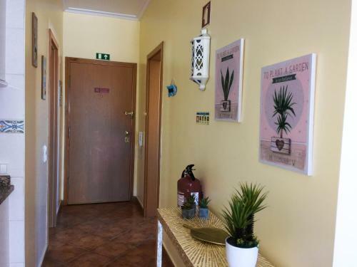 Apartamento Primavera