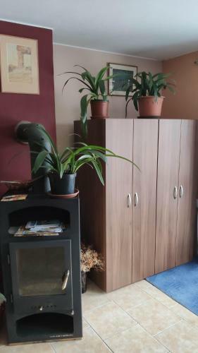 Apartm�n �lehla