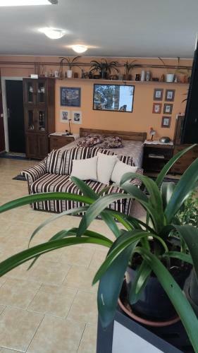 Apartm�n �lehla