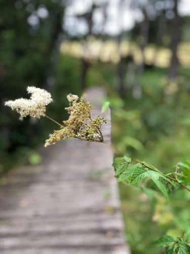 Bike & Wellness Apartm�n Bor?vka