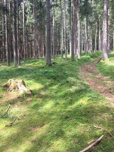 Bike & Wellness Apartm�n Bor?vka