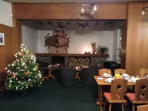 Hotel Chata O?ovsk�