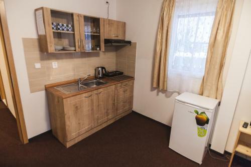 Apartm�ny Alpsk� D?m
