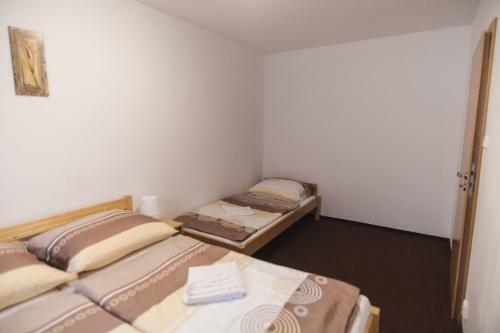Apartm�ny Alpsk� D?m