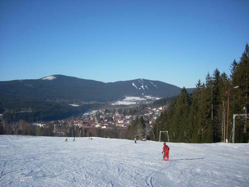 Apartm�ny Alpsk� D?m
