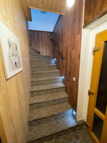 Hostal Wolf House Kl�novec