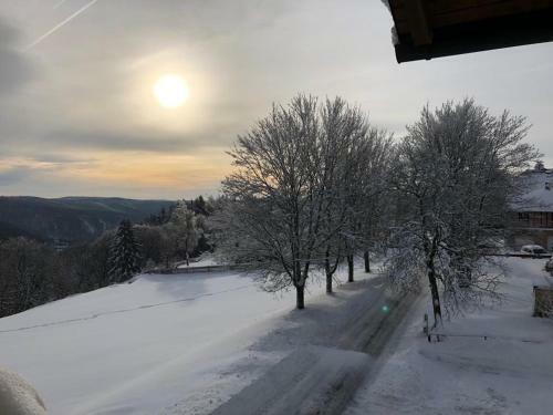 Apartamento Haus Bergblick