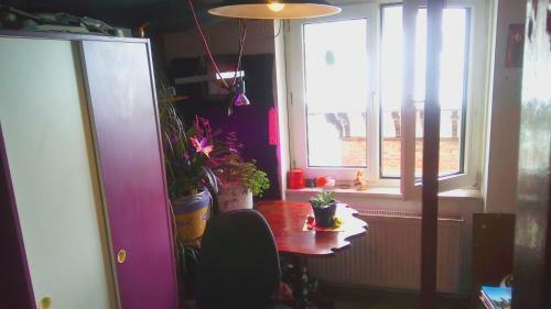 Female Single Room, Frankfurt Citycentre