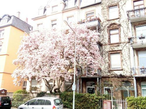 Female Single Room, Frankfurt Citycentre