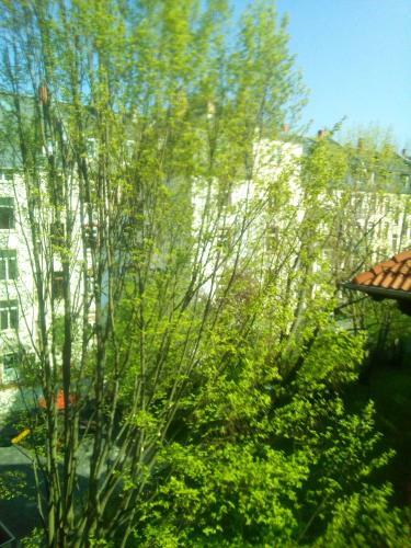 Female Single Room, Frankfurt Citycentre