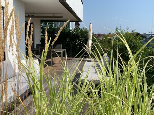 Apartamento Wundersch�nes Domizil Auf Der H�ri Am Bodensee