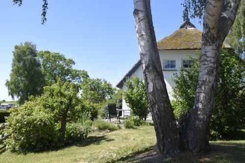 Charmantes, Ger�umiges Ferienhaus In Boddenn�he