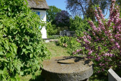Charmantes, Ger�umiges Ferienhaus In Boddenn�he