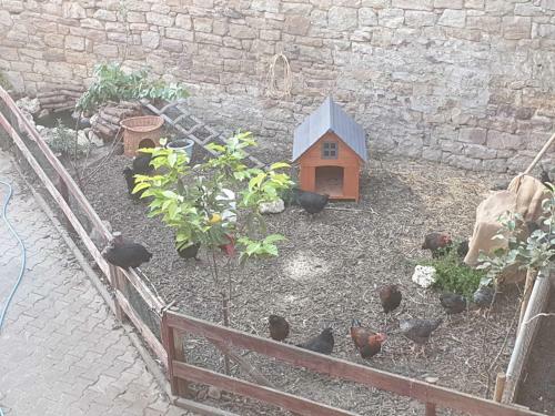 Agroturismo Ferienwohnung Tinkerhof N�he Bingen