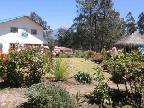 Hosteria Rose Cottage