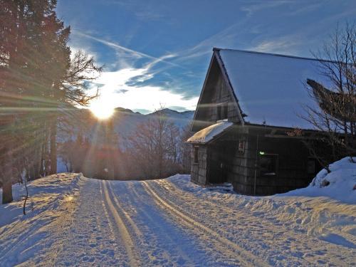Chalet Hostel Murka
