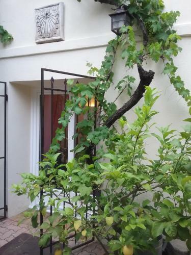 Apartamento La Plenitude