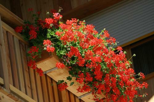 Hotel Sch�ne Aussicht