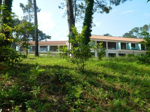 Hotel Al�n Do Mar