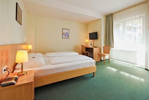 Hotel Wiking