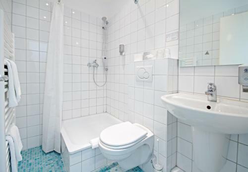 Hotel Wiking
