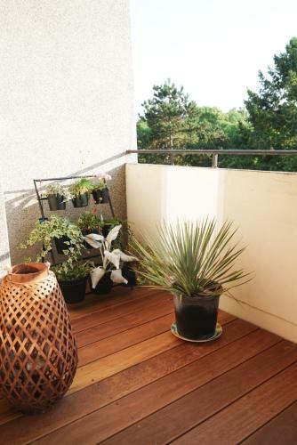 Apartamento Botanica Lux