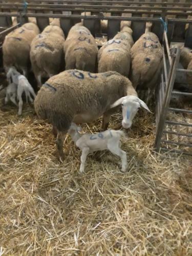 G�te � La Ferme
