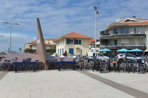 Beach Front Apartment Eljocri