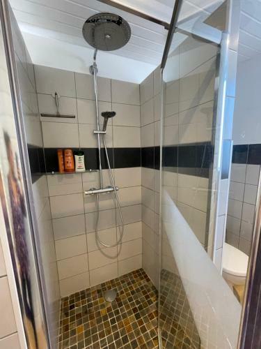 Apartamento Grand Studio Avec Terrasse, Wifi, Netflix Et V�los