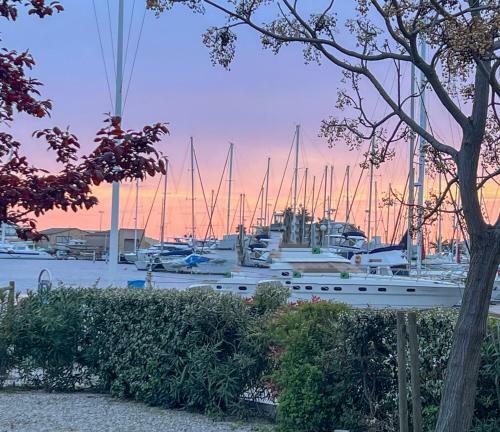 Apartamento Superbe, Face Aux Bateaux - 2ch + Jardin - Marina