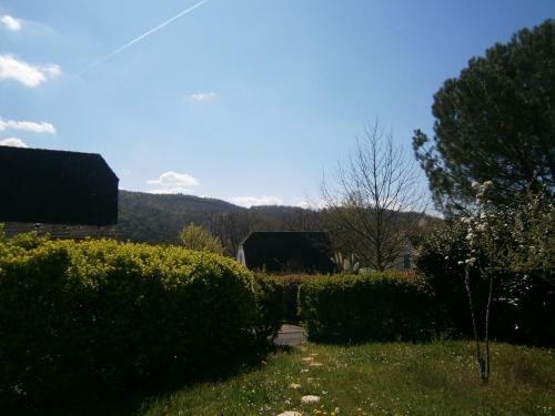 La Chenillette