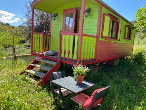 Eco Lodge/tiny House Ferrairolles/rolinka