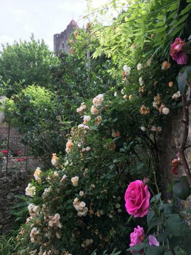 Cot� Remparts