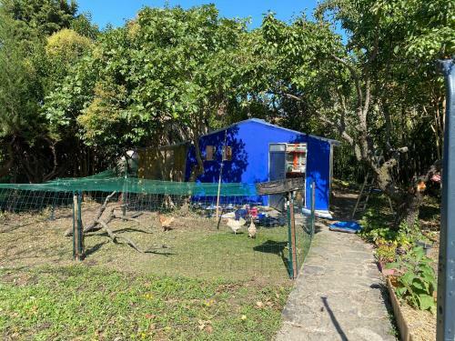 Bed & Breakfast Carcazen