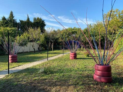 Bed & Breakfast Carcazen