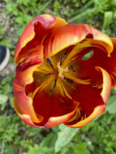 Bed & Breakfast Carcazen