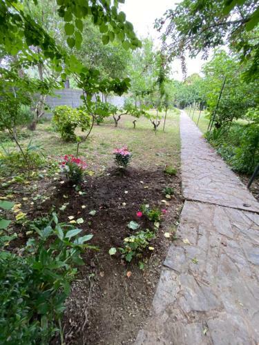 Bed & Breakfast Carcazen