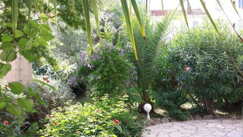 Apartamento Central Avec Jardin