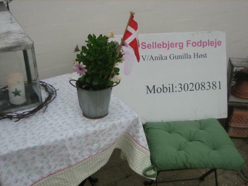 Sellebjerg Apartment