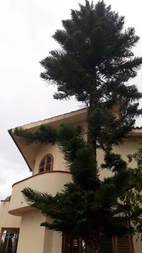 Villa Persefone - Splendida Villa Con Giardino