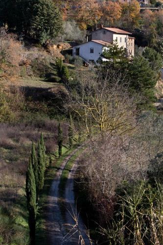 Il Mandorlo