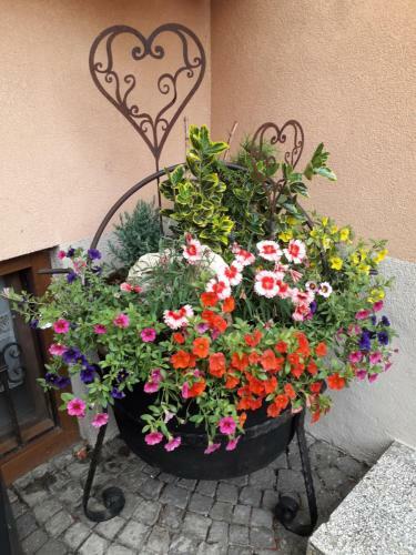 Apartamento Casa Scalet
