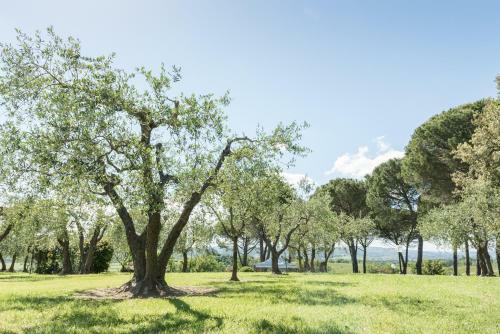 Villa Giola Exclusive