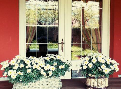 Bed & Breakfast La Fonte