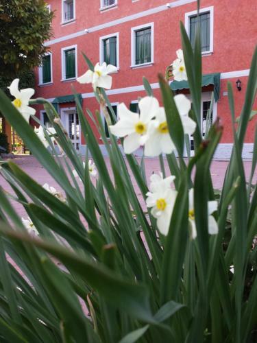 Bed & Breakfast La Fonte